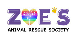 https://qa.bigsteelbox.staging.poundandgrain.ca/content/uploads/2019/10/Zoes-animal-rescue-edmonton-logo-250.jpg