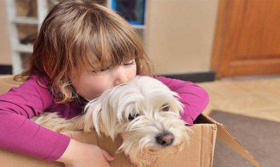 Tips for moving with pets - BigSteelBox